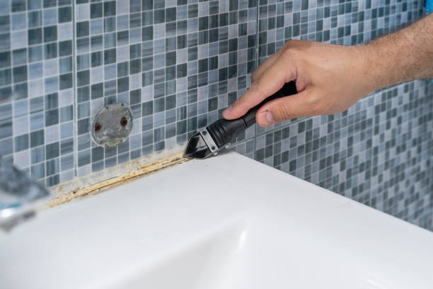 Best Same-Day Mold Removal  in Ome, GA
