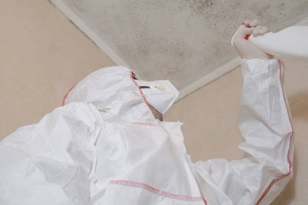 Certified Mold Removal in Omega, GA