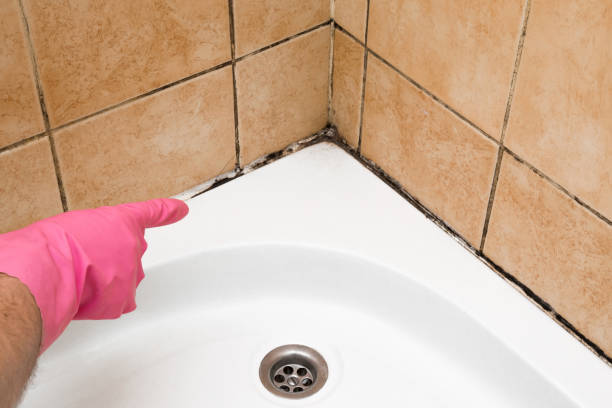 Best Emergency Mold Removal  in Ome, GA